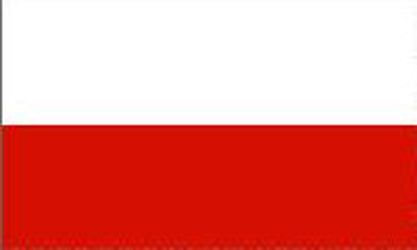 Bordsflagga Polen (stor)