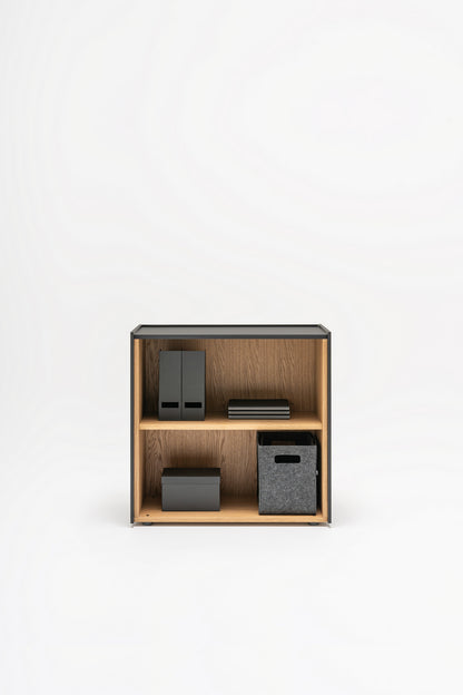Viga bookcase