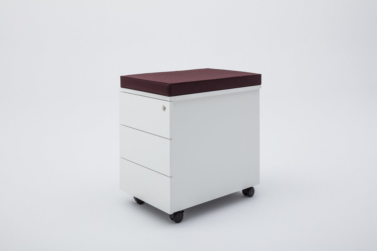 Standard mobile pedestal